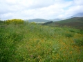 calatefimi segesta (10)